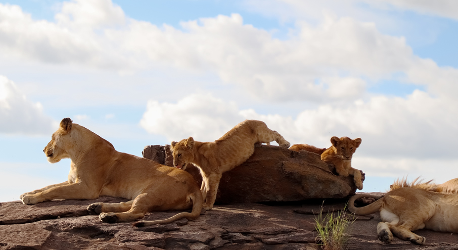 3 Days: Tsavo West and Tsavo East gallery image 3